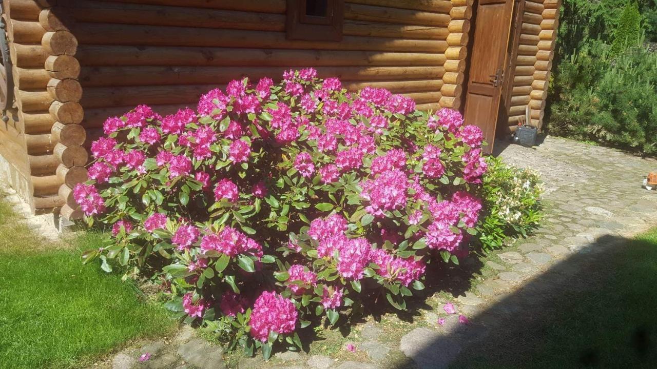 Hotel Sveciu Namelis à Šiauliai Extérieur photo